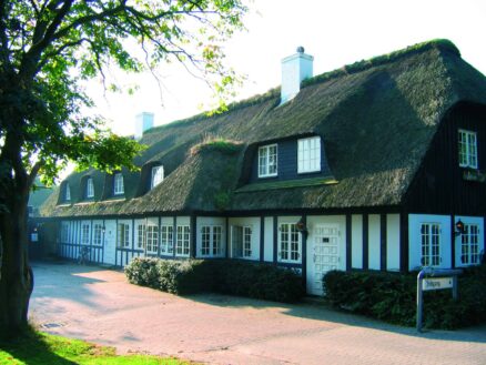 Den_Gyldne_Hane_forside